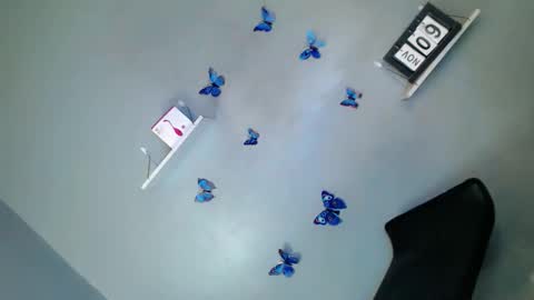 jasmine online show from 11-09-25, 01:20