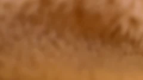 Snapshot of myassistant chatting on 02-12-25, 09:33 Mya-be Yours P online show from 02-12-25, 09:33