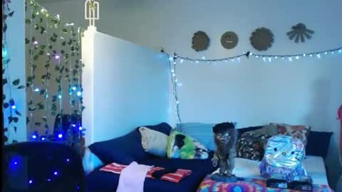 LA MARIPOSA DE MARICOPA online show from 02-22-25, 01:00