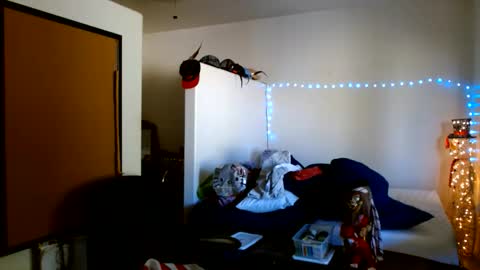 LA MARIPOSA DE MARICOPA online show from 10-07-25, 09:12