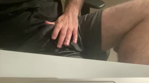 myStallion online show from 10-14-25, 08:42