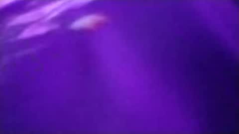 n298033 online show from 09-23-25, 05:05