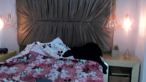 nai_blue online show from 10-07-25, 03:14