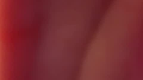 Nancy and Archi online show from 12-12-24, 07:52