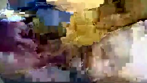 Nane online show from 01-08-26, 12:51