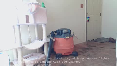 Snapshot of nannabaldur chatting on 12-16-25, 04:01 Nanna Baldur online show from 12-16-25, 04:01