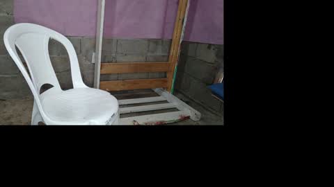 bellas2012 online show from 01-19-25, 05:39