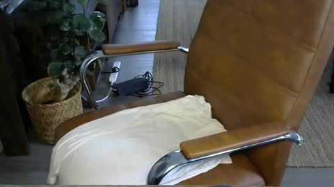 nareth338 online show from 10-03-25, 03:53