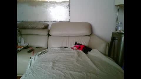 nassobout online show from 10-12-25, 09:41