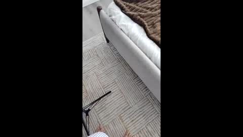 Asian Milf Show online show from 11-17-25, 05:41