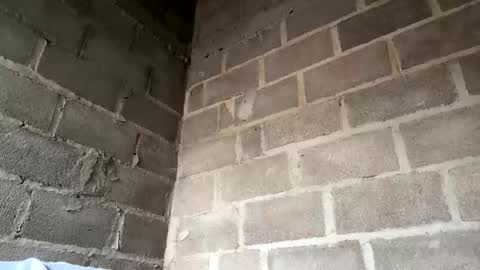 natasha__magics online show from 02-01-26, 05:11