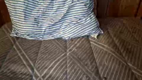 Snapshot of nativejoker_1995 chatting on 10-04-25, 09:13 nativejoker_1995 online show from 10-04-25, 09:13