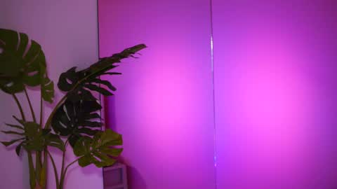 Snapshot of natydesiree chatting on 02-26-25, 08:04 Naty online show from 02-26-25, 08:04