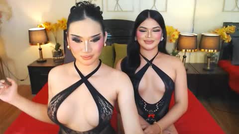 F R A N Z I A online show from 10-24-25, 07:54