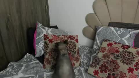 Snapshot of neeii chatting on 11-11-25, 01:16 Nei turn green online show from 11-11-25, 01:16