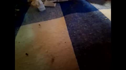 boo online show from 11-01-25, 10:23