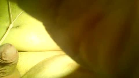 Snapshot of neverland966 chatting on 01-25-25, 04:13 Mark online show from 01-25-25, 04:13