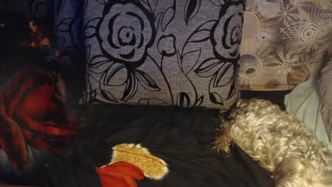 Lilly  online show from 04-06-26, 03:15