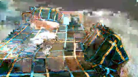 Lucy Pearl online show from 01-07-25, 11:16