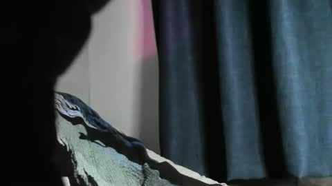 Black Tarzan online show from 12-22-24, 05:56