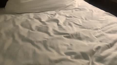 Snapshot of nickzoos3 chatting on 01-29-25, 09:55 Nick Zoos online show from 01-29-25, 09:55