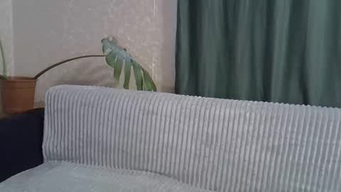 nicole_2104 online show from 02-24-26, 08:34