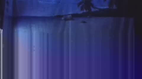 Snapshot of nightgoat666 chatting on 01-21-25, 03:37 OHB Old Horny Bastard online show from 01-21-25, 03:37