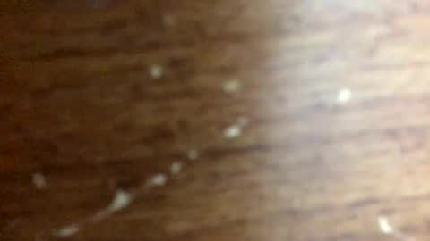 nightmoves1970 online show from 11-20-25, 02:34