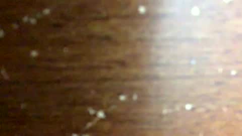 nightmoves1970 online show from 02-18-26, 03:46