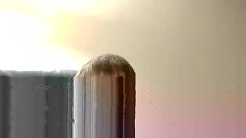 nightnightlol online show from 12-08-24, 09:41