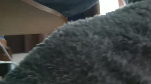 nineinchhard online show from 10-20-25, 09:43