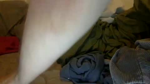 Noah Warren online show from 09-28-25, 01:16