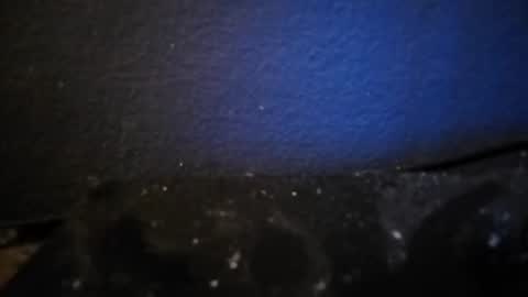 Nocycle000 online show from 09-14-25, 06:51