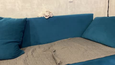 Eva online show from 12-29-24, 12:55