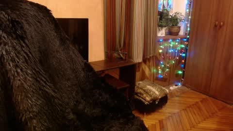 miss Tress online show from 12-28-24, 09:19