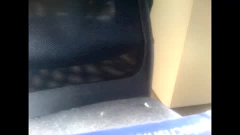 nostradamuslu online show from 11-10-25, 08:24