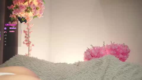 Dina online show from 11-07-25, 01:38