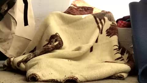 nuevotiempo online show from 02-23-26, 12:57