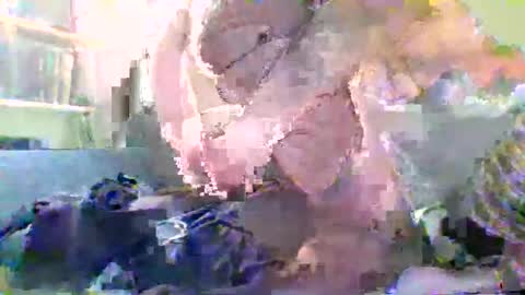 Snapshot of nylonloversffm chatting on 01-17-26, 07:17 NYlonloversFFM online show from 01-17-26, 07:17