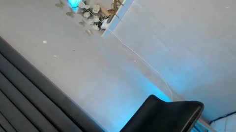 obeymycurves online show from 01-11-26, 02:49