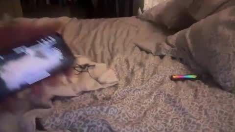 obiwand653040 online show from 11-04-25, 05:28