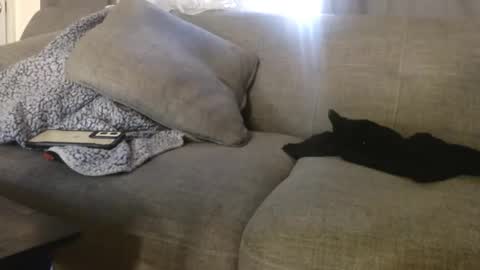 Snapshot of ogdigbick chatting on 11-04-25, 02:16 OGDigBick online show from 11-04-25, 02:16