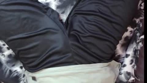 Snapshot of oheyhun chatting on 12-30-24, 09:48 oheyhun online show from 12-30-24, 09:48