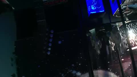 Snapshot of oheyhun chatting on 11-08-25, 10:48 oheyhun online show from 11-08-25, 10:48