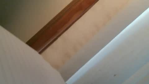 Snapshot of olddognewtrickss chatting on 09-11-25, 08:42 olddognewtrickss online show from 09-11-25, 08:42