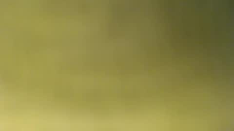 oliver_laid_2023 online show from 11-30-25, 08:51