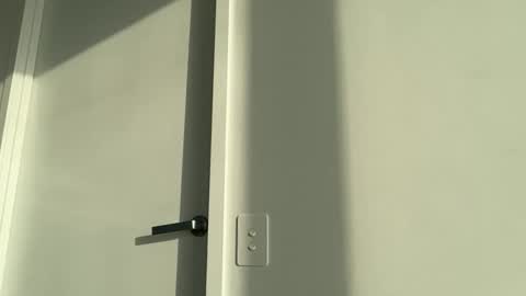 Olivia Brookes online show from 11-17-25, 07:52