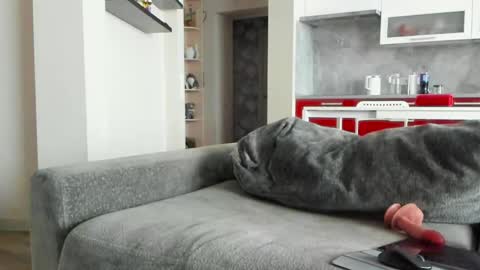 Snapshot of oliviamuur chatting on 03-31-26, 07:42 oliviamuur online show from 03-31-26, 07:42