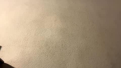 amy 3 online show from 09-28-25, 08:47