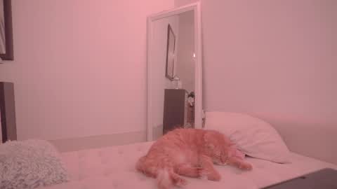 Ariel online show from 10-18-25, 09:26